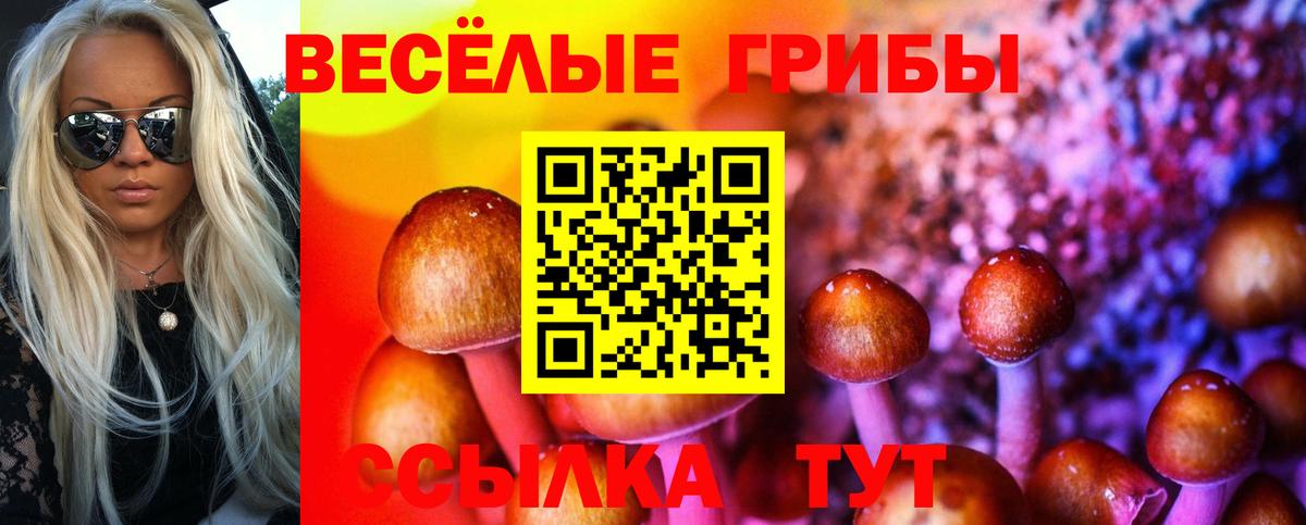 Муравленко  Галлюциногенные грибы GOLDEN TEACHER  Вход с VPN 